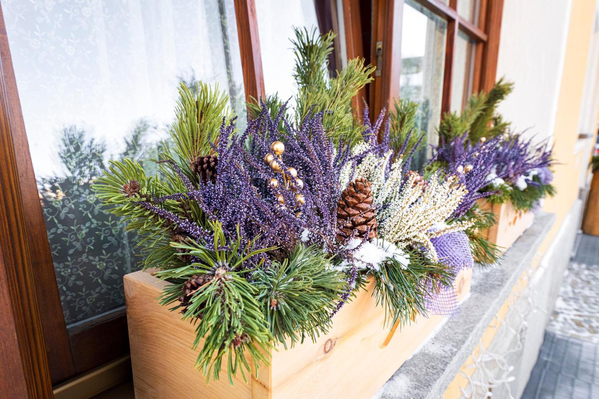 Chalet Rosita Livigno Zewnętrze zdjęcie